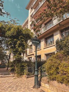 A cozy corner of a residential area with modern street lamps and flowering shrubs.