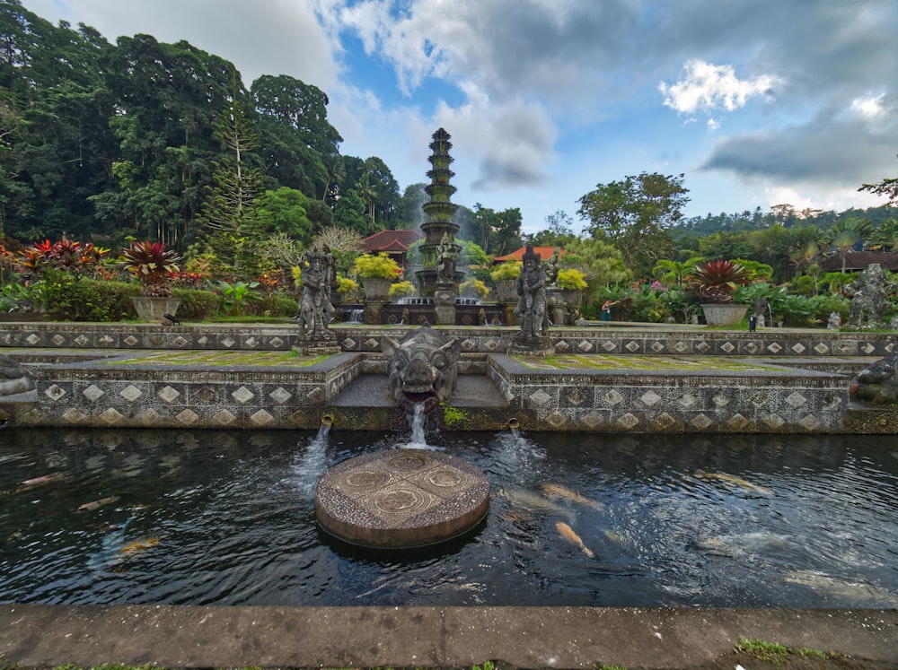 a pond with a fountain surrounded by fish