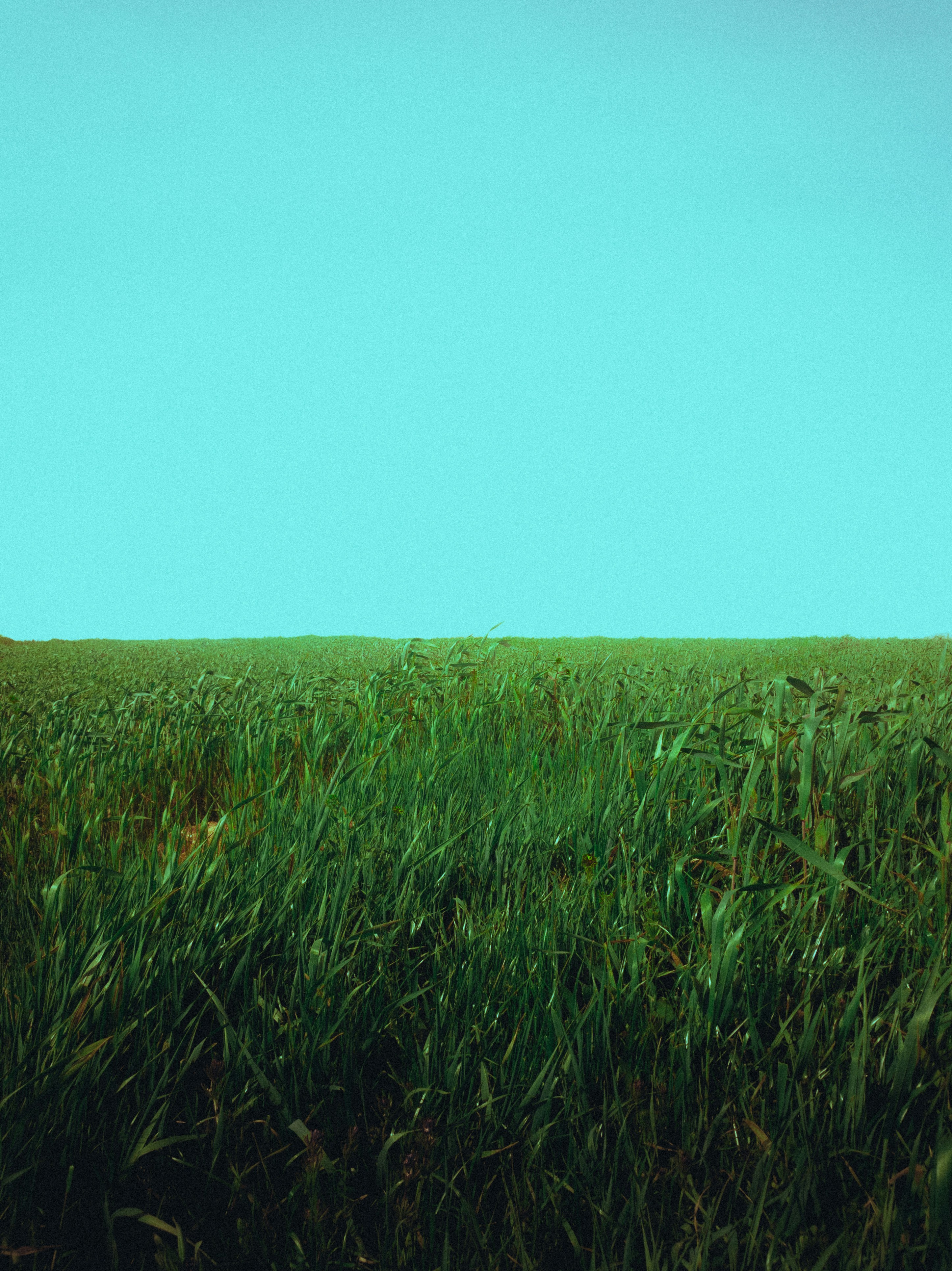 Photo by visualzheer