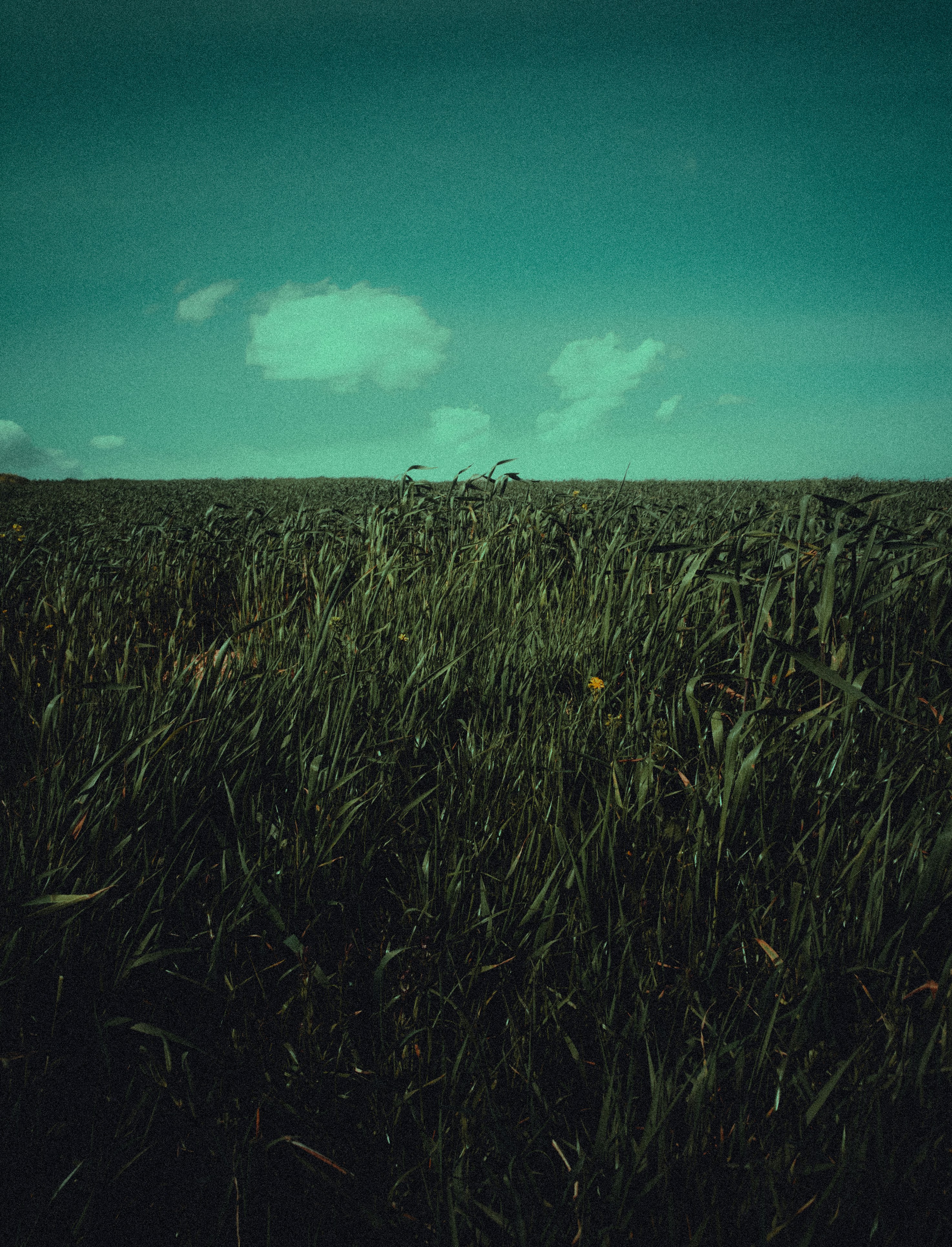 Photo by visualzheer