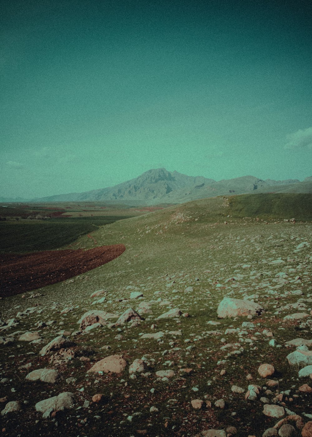 a rocky field with a mountain in the background