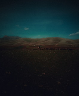 A moody, sunlit portrait of a rancher silhouetted against expansive Texas plains at dusk.