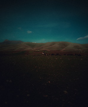 A seasoned rancher inspecting cattle with a backdrop of rolling hills at sunset