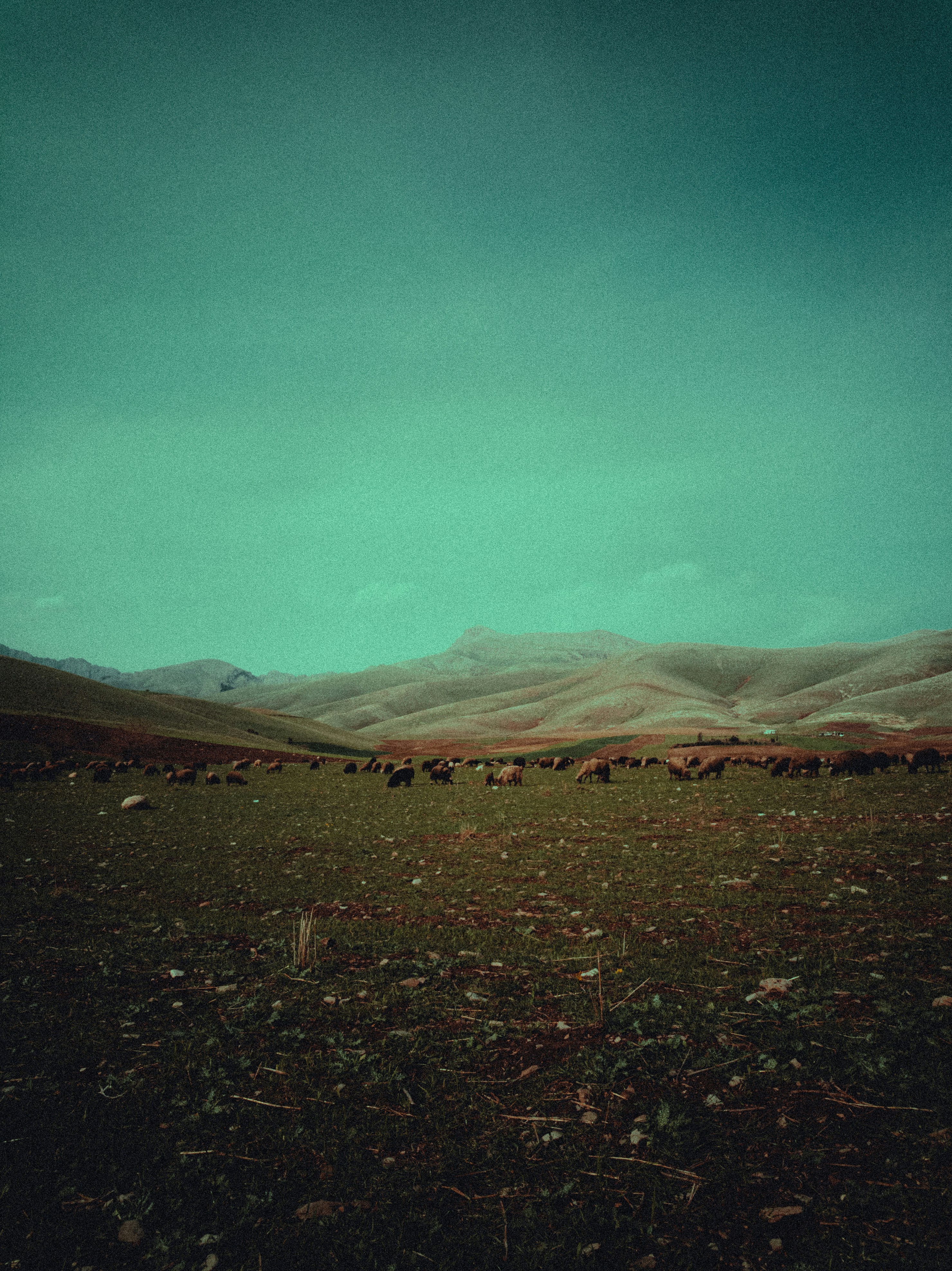Photo by visualzheer
