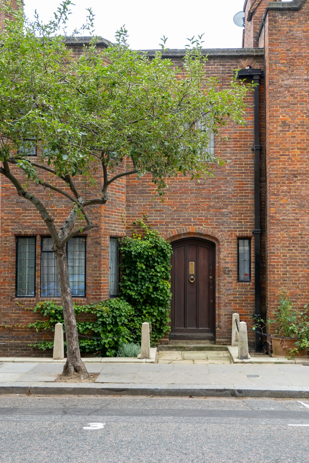 a brick building with a tree in front of it