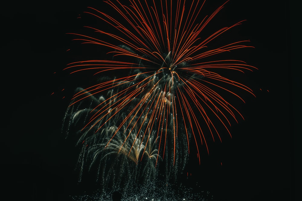 a large fireworks is lit up in the night sky