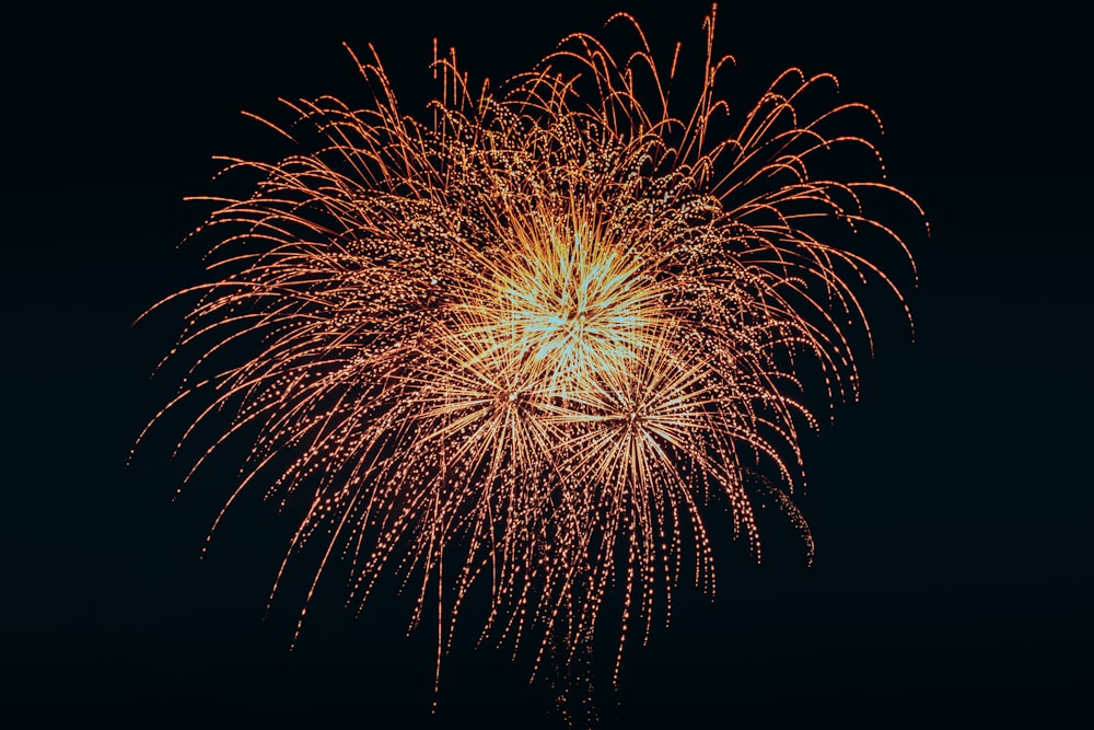 a large fireworks is lit up in the night sky