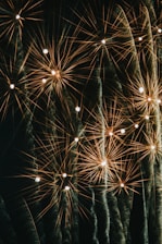 A display of fireworks with bright, sparkling trails against a dark background. The bursts spread out in various directions, creating intricate patterns of light.