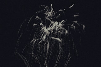 Bright, white fireworks explode against a dark background, creating a contrast of light and shadow. The fireworks appear like streaks and dotted lines, forming a cascading effect.