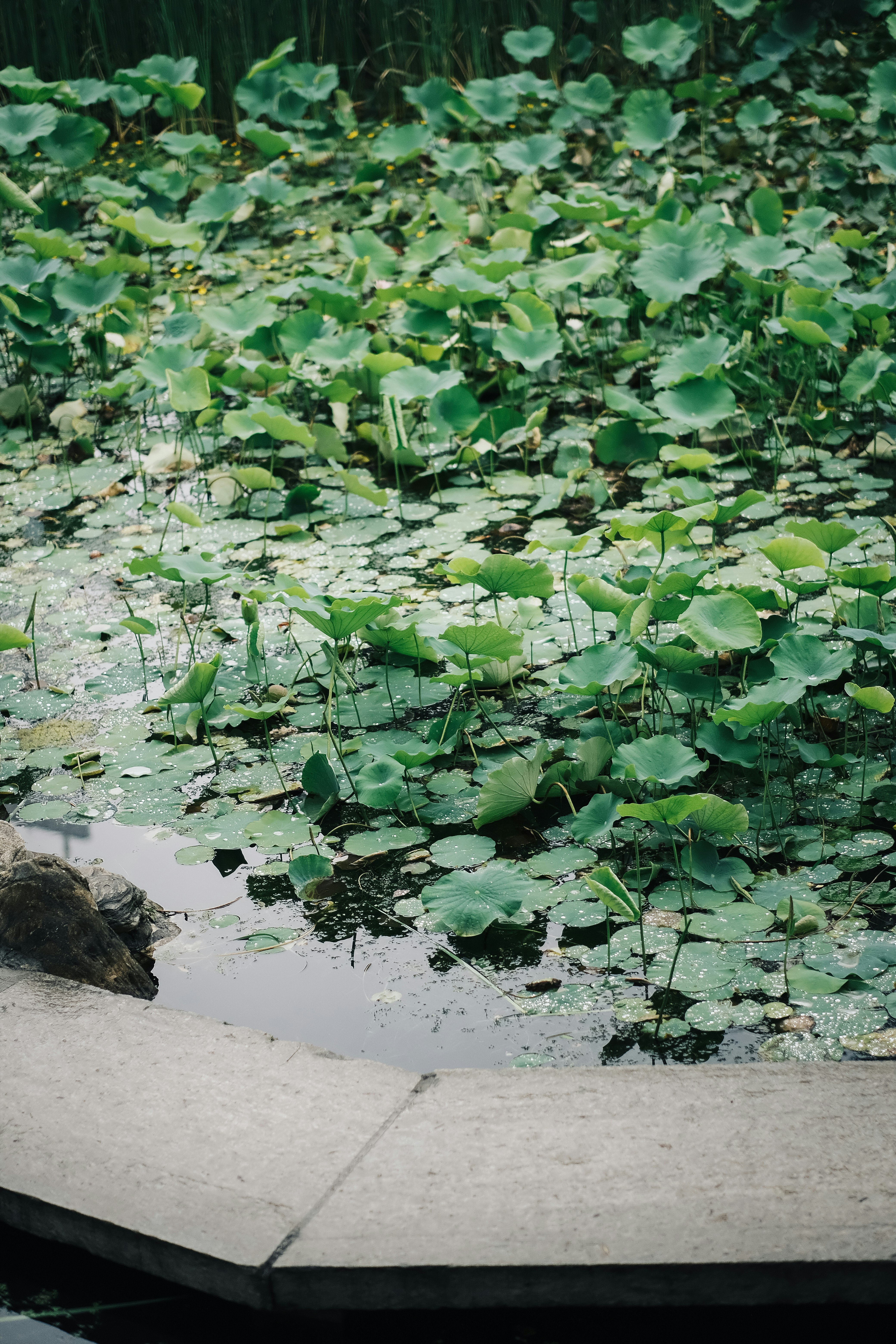 Photo by maycloudbackup