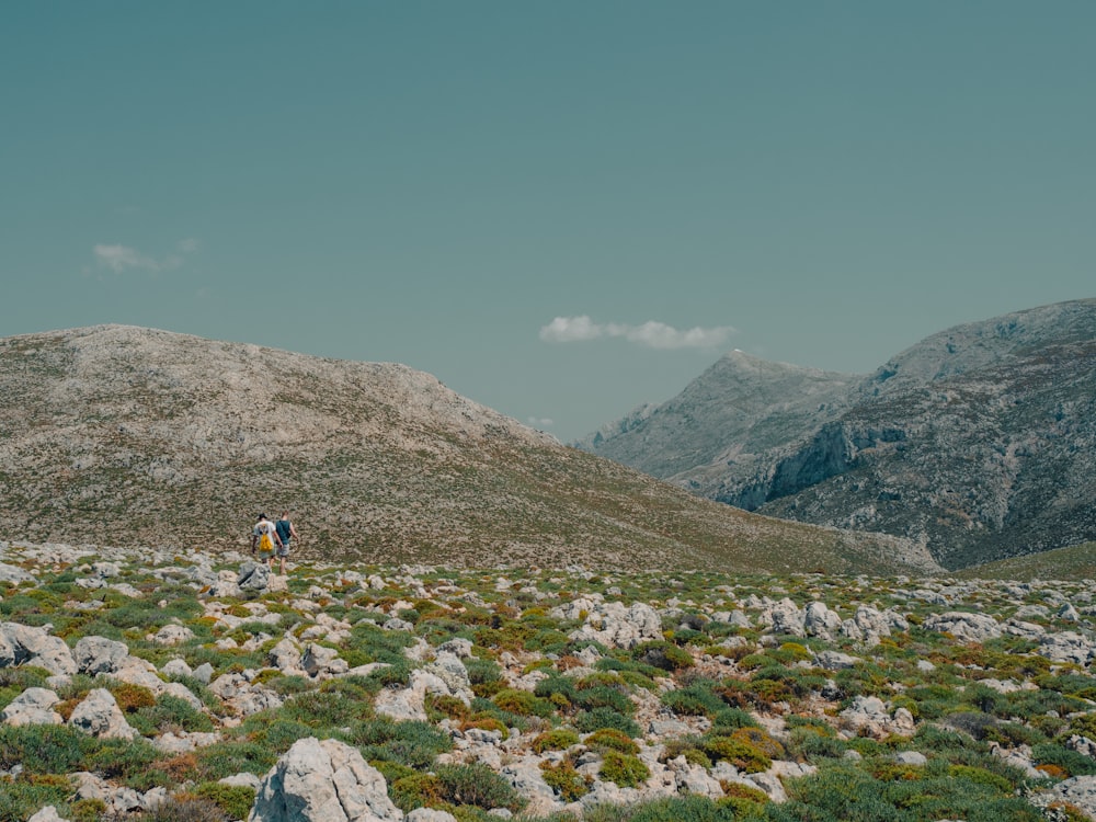 a couple of people standing on top of a lush green hillside