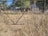 A rustic metal gate with a mesh design is set against a backdrop of dry grass and a rural landscape. In the distance, there are two small, modest buildings with trees surrounding them. The area appears to be overgrown and unkempt, suggesting a quiet, possibly abandoned, rural setting.