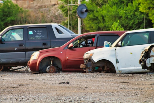 Several cars without wheels and partially stripped of parts are parked on a gravel surface, surrounded by greenery and other discarded items.