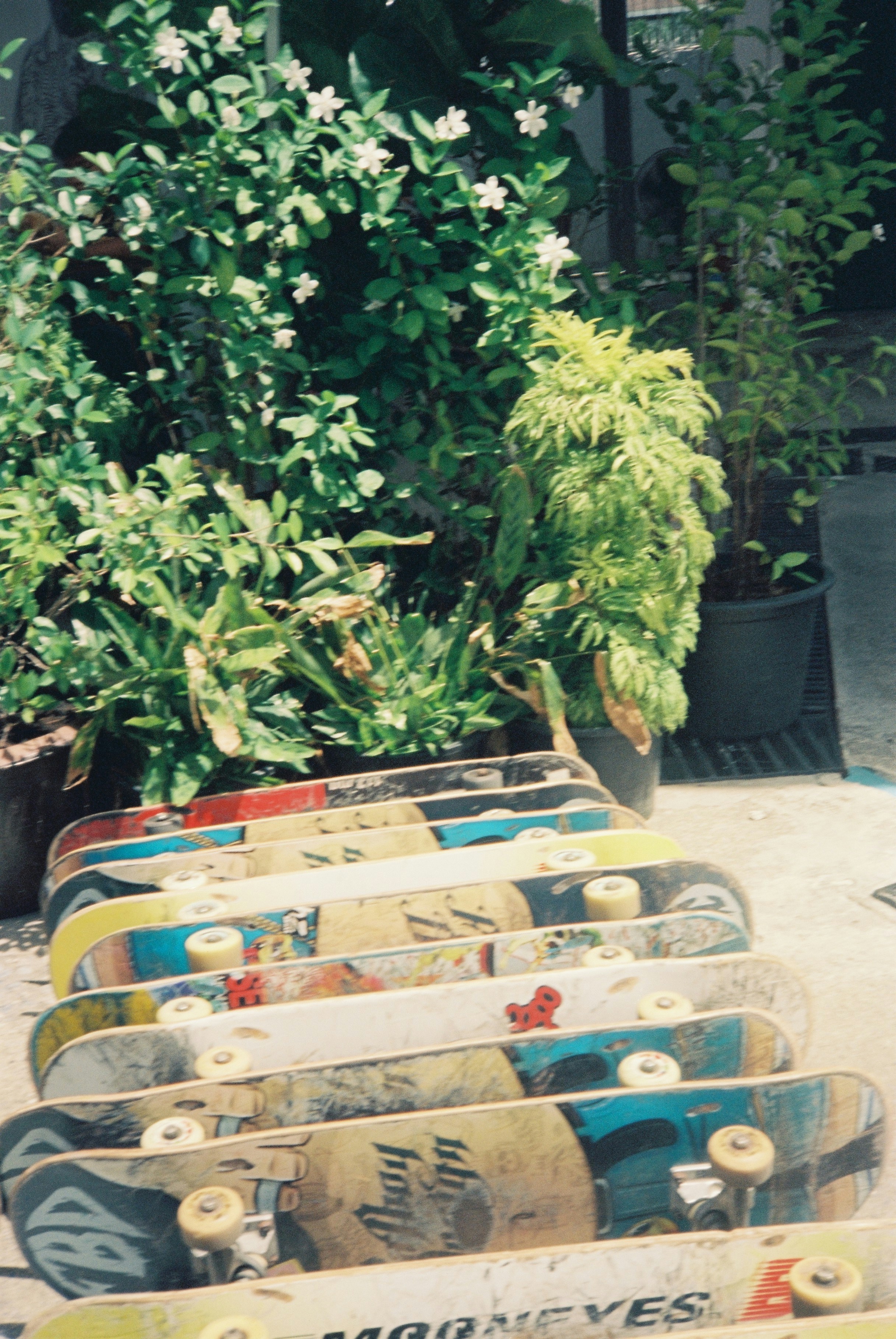 Limited Edition Fingerboard Deck