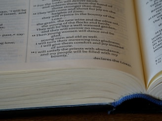 An open book with visible text featuring a passage from the Bible. The pages are slightly curved, and the book's cover is blue. The focus is on the central section of the text.