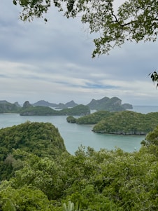 A picturesque view of the Azores islands, showcasing lush greenery and the ocean.