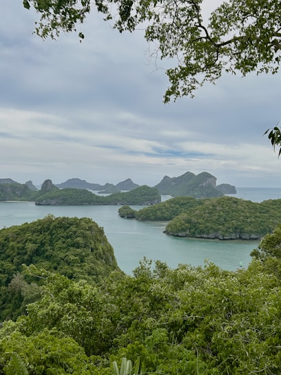 A picturesque view of the Azores islands, showcasing lush greenery and the ocean.