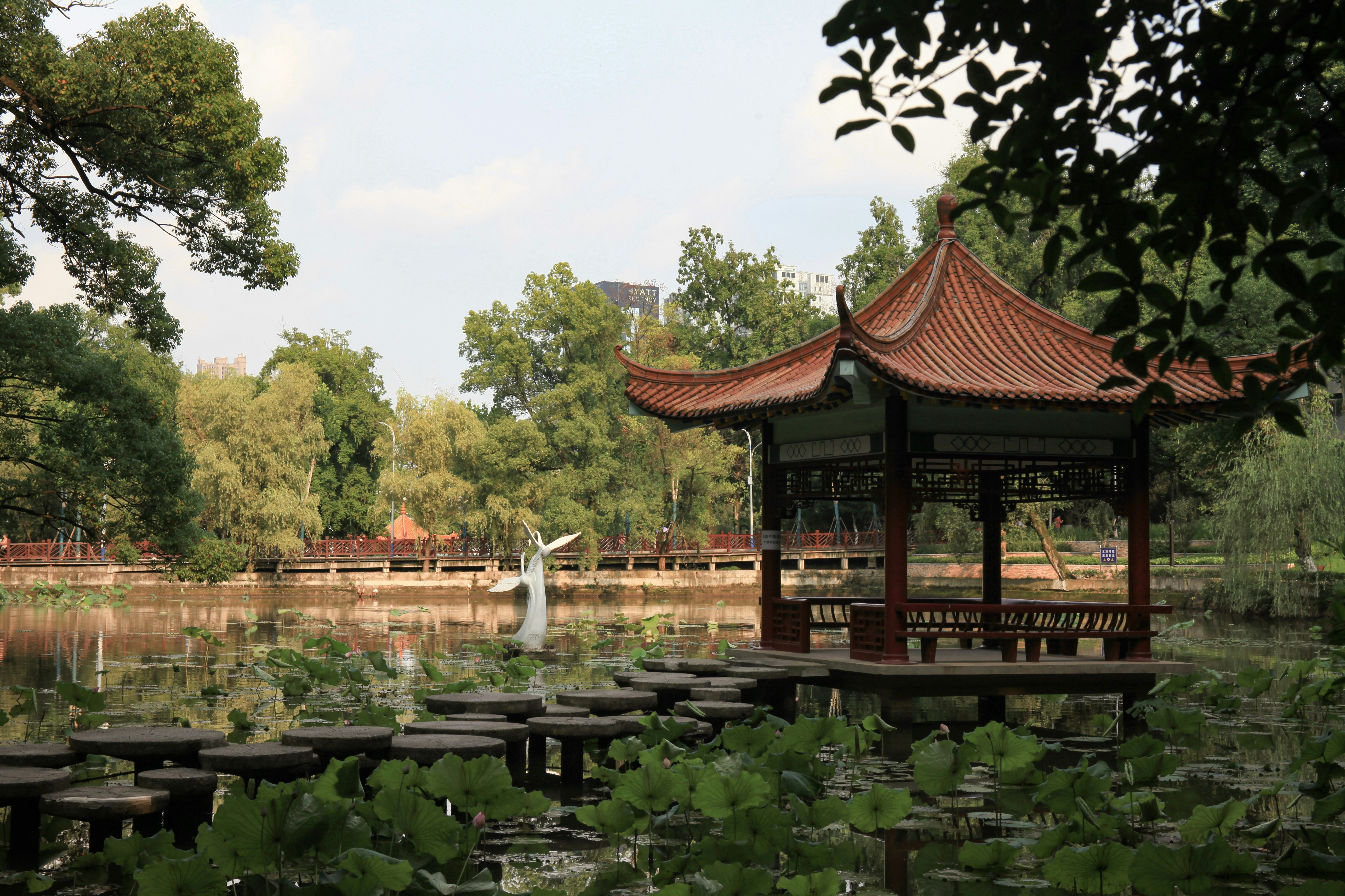 Photo by zhangchen0351