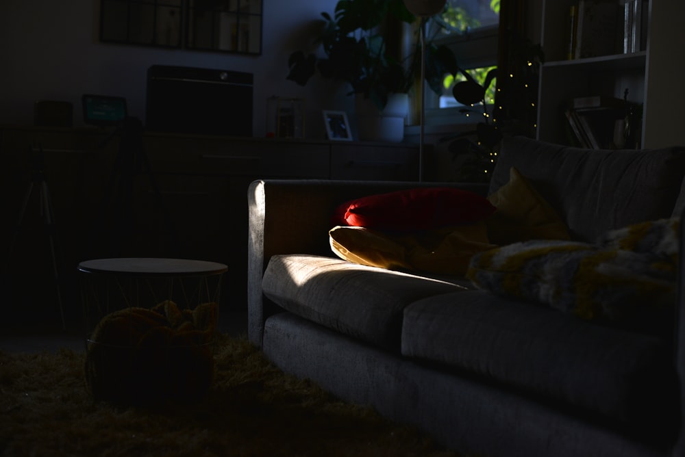 a living room with a couch and a cat on the floor