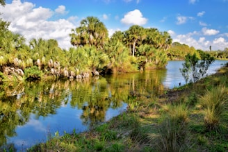 A serene river scene in Sabana de la Mar with vibrant greenery and clear water.