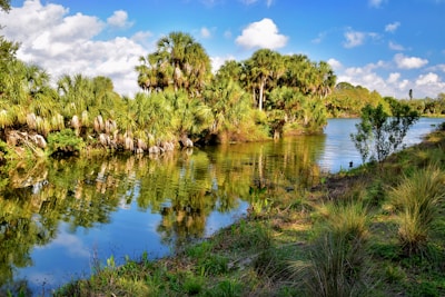 A serene river scene in Sabana de la Mar with vibrant greenery and clear water.
