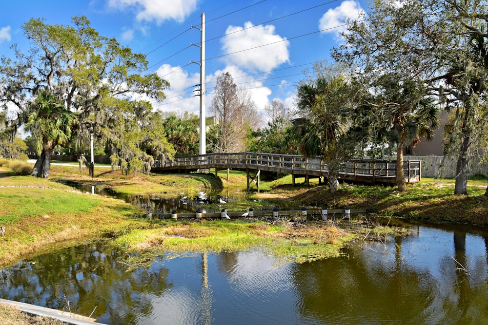 a bridge over a small pond in a park