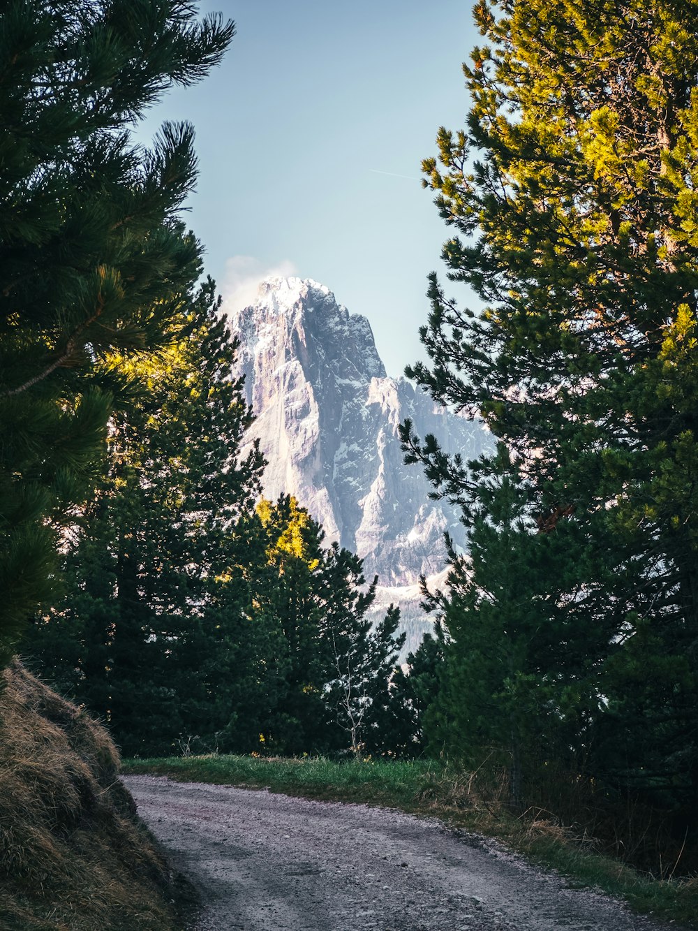 a dirt road with trees and a mountain in the background