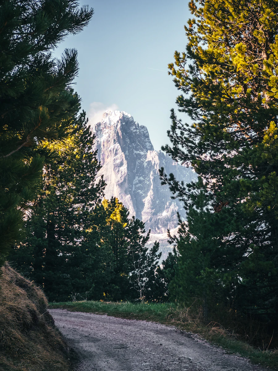 Wanderhotels in Südtirol