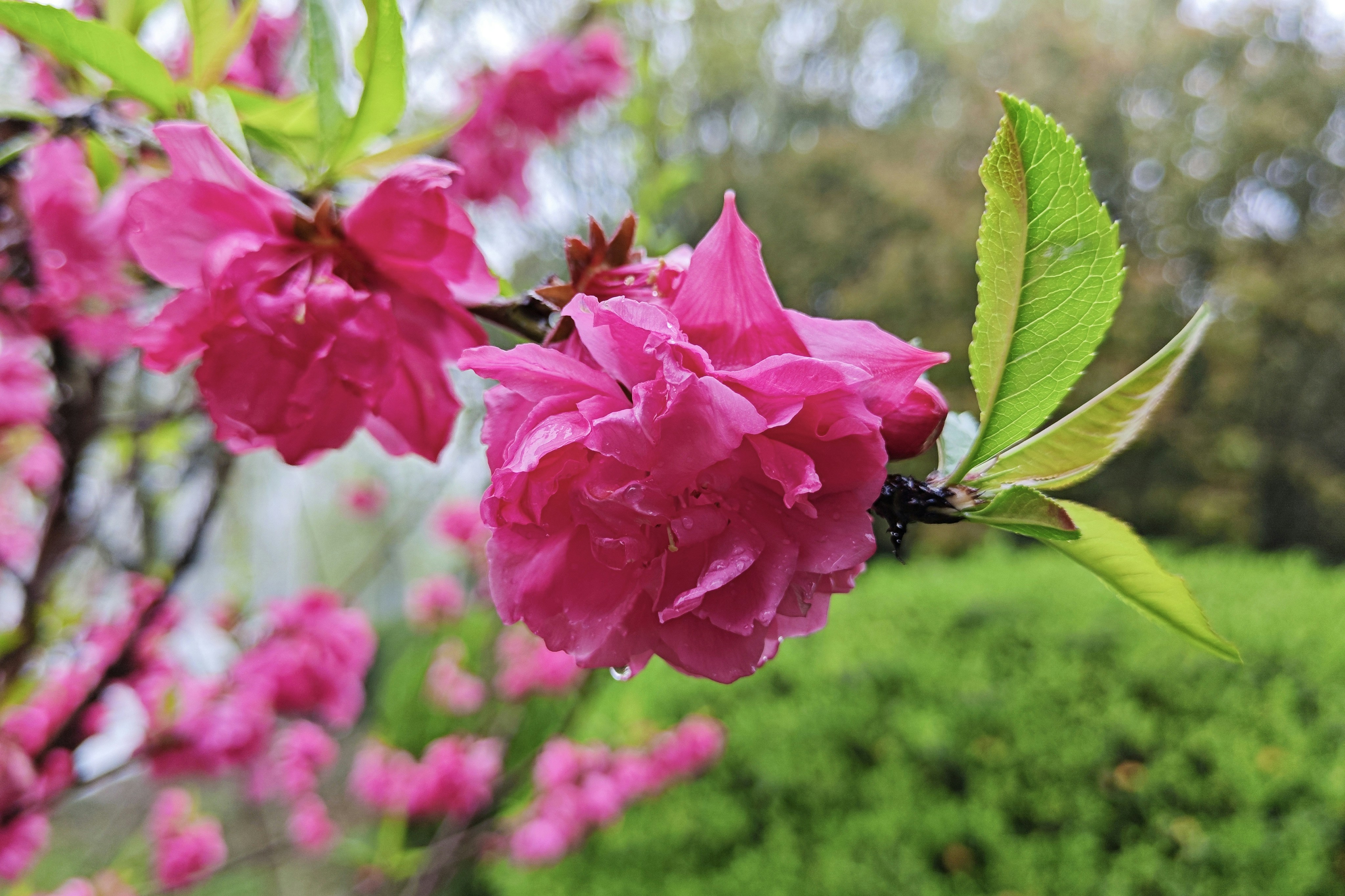 Photo by kevinwang413156