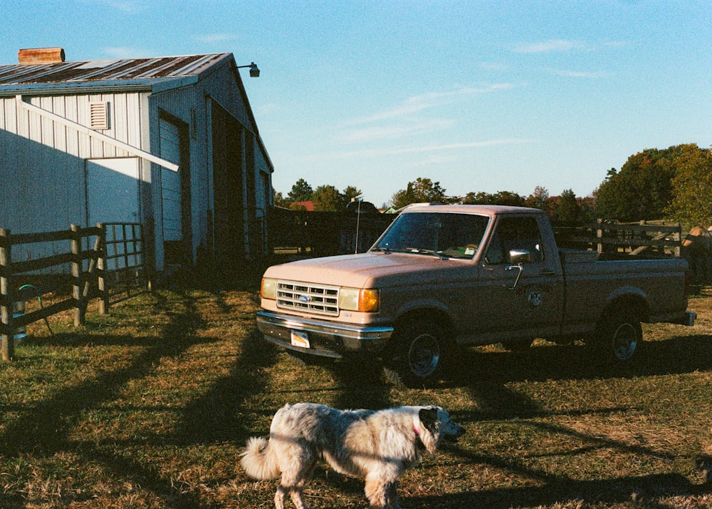 a dog standing next to a truck in a field