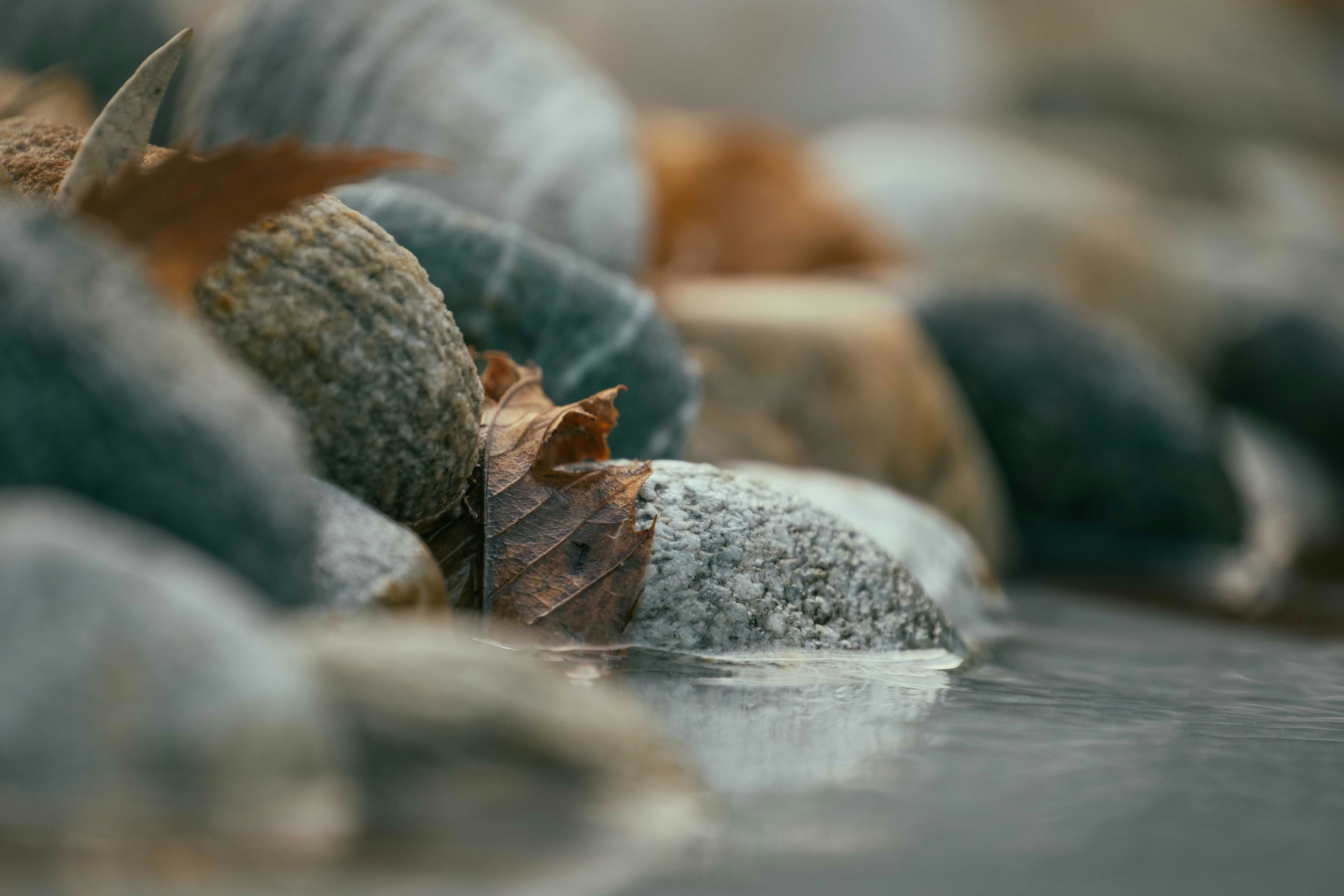 Photo by francesco_ungaro