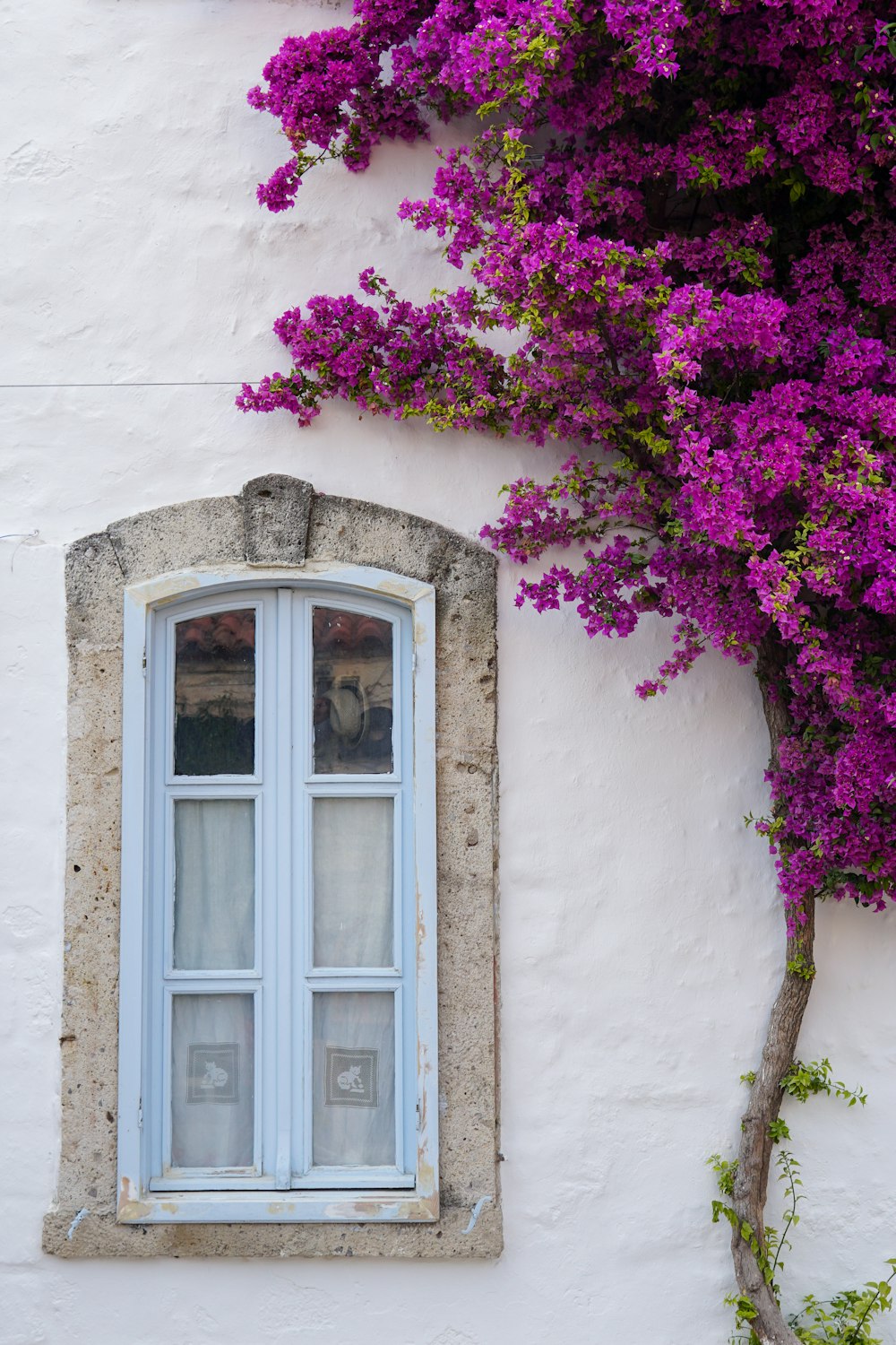 a window with a blue pane and purple flowers