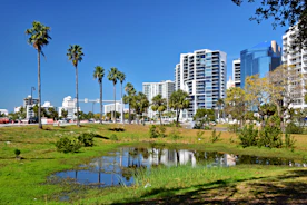 a small pond surrounded by palm trees and tall buildings