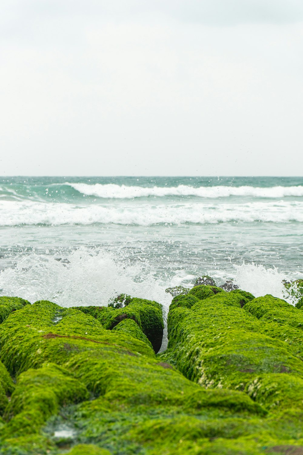 a person standing on a rock covered in green moss