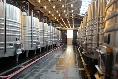 A spacious room with large stainless steel fermentation tanks lined up on both sides. The ceiling features exposed wooden beams and numerous hanging light bulbs illuminating the area. The floor is reflective and slightly wet, with a pink hose running along it.
