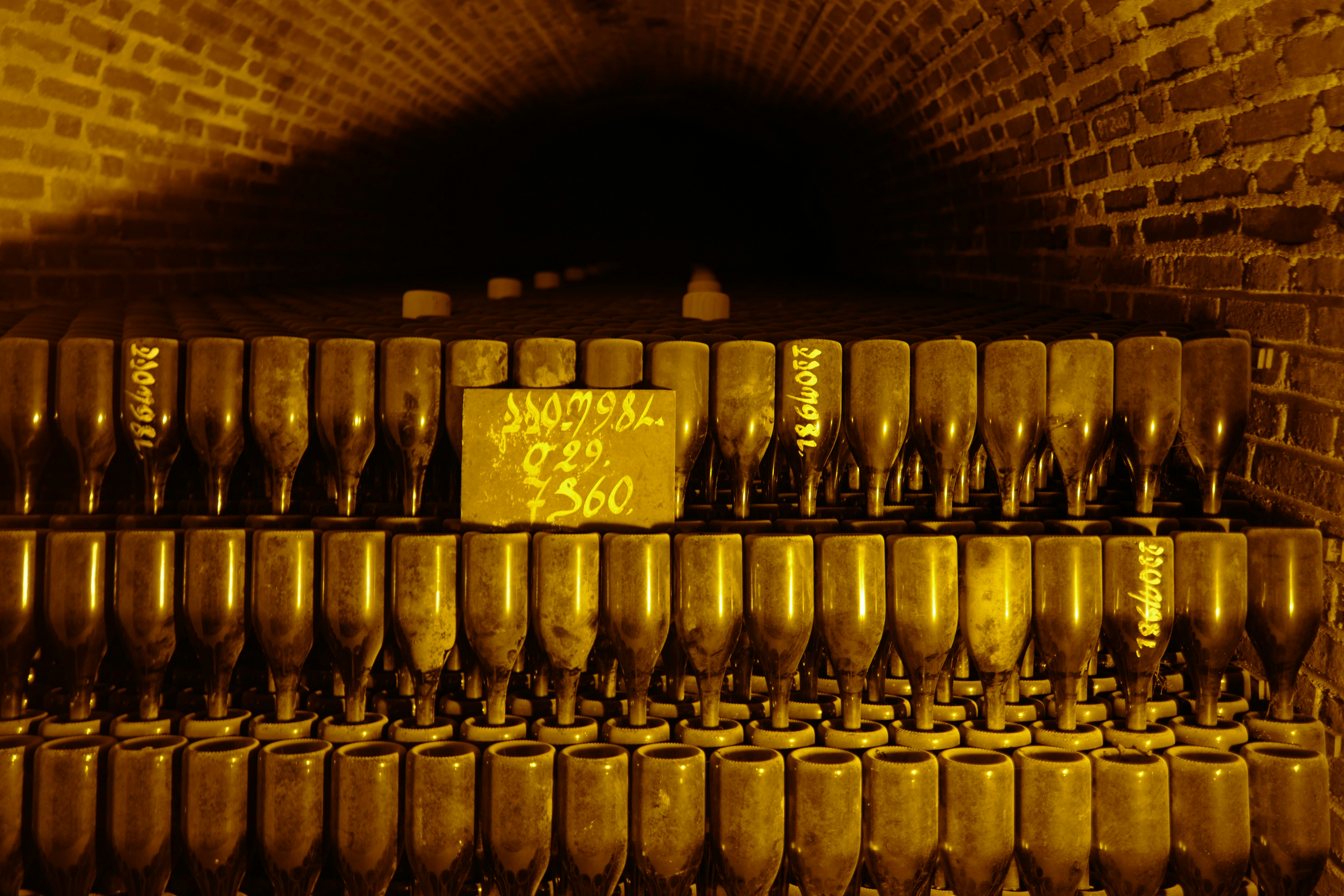 Row of wine bottles in a cellar with warm lighting