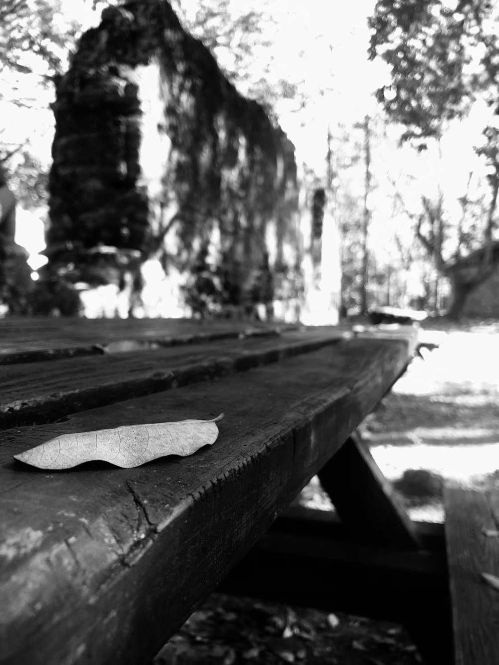 a piece of paper sitting on top of a wooden bench