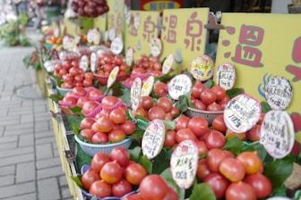 a row of baskets filled with lots of tomatoes