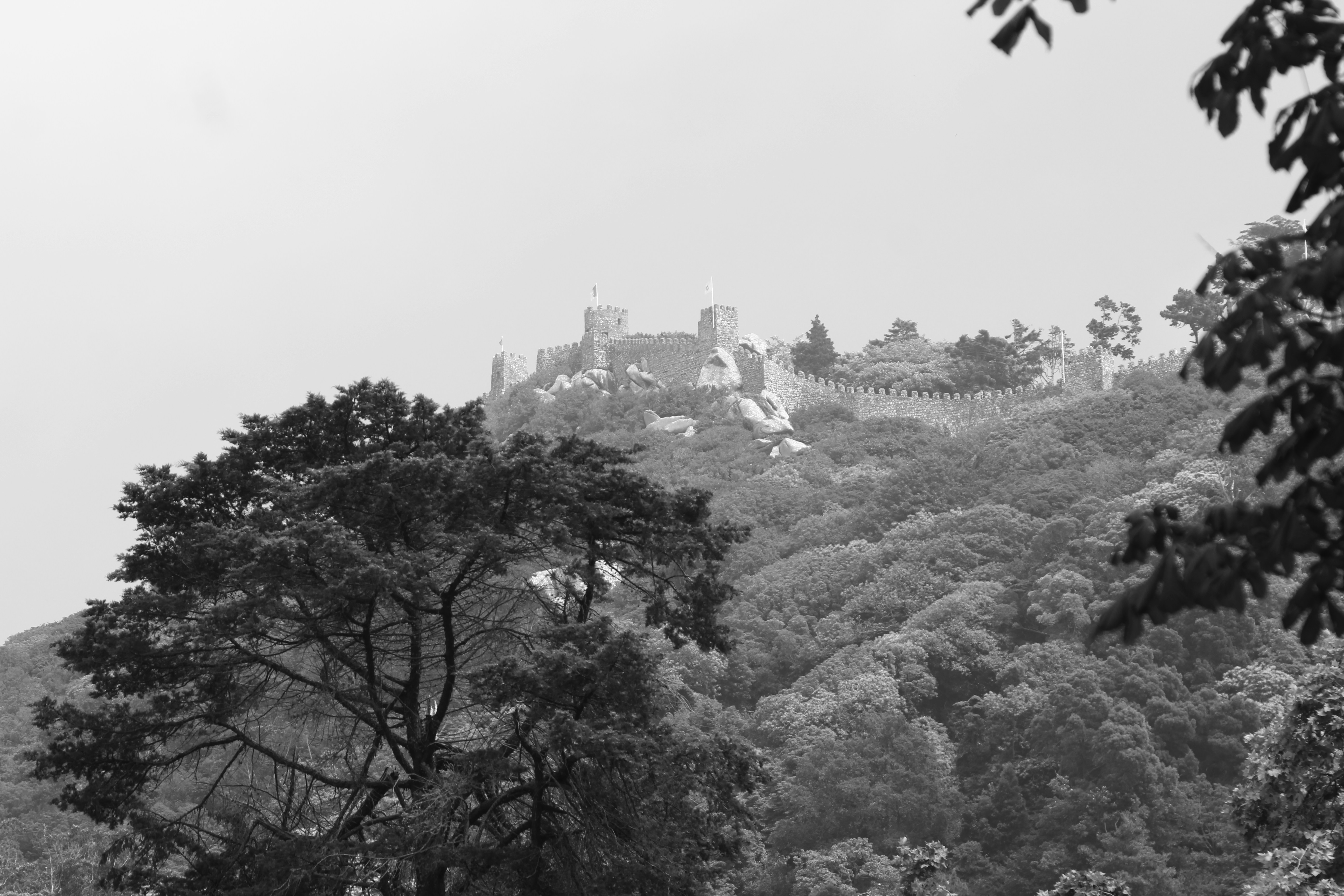 Photo by mariaennnunes