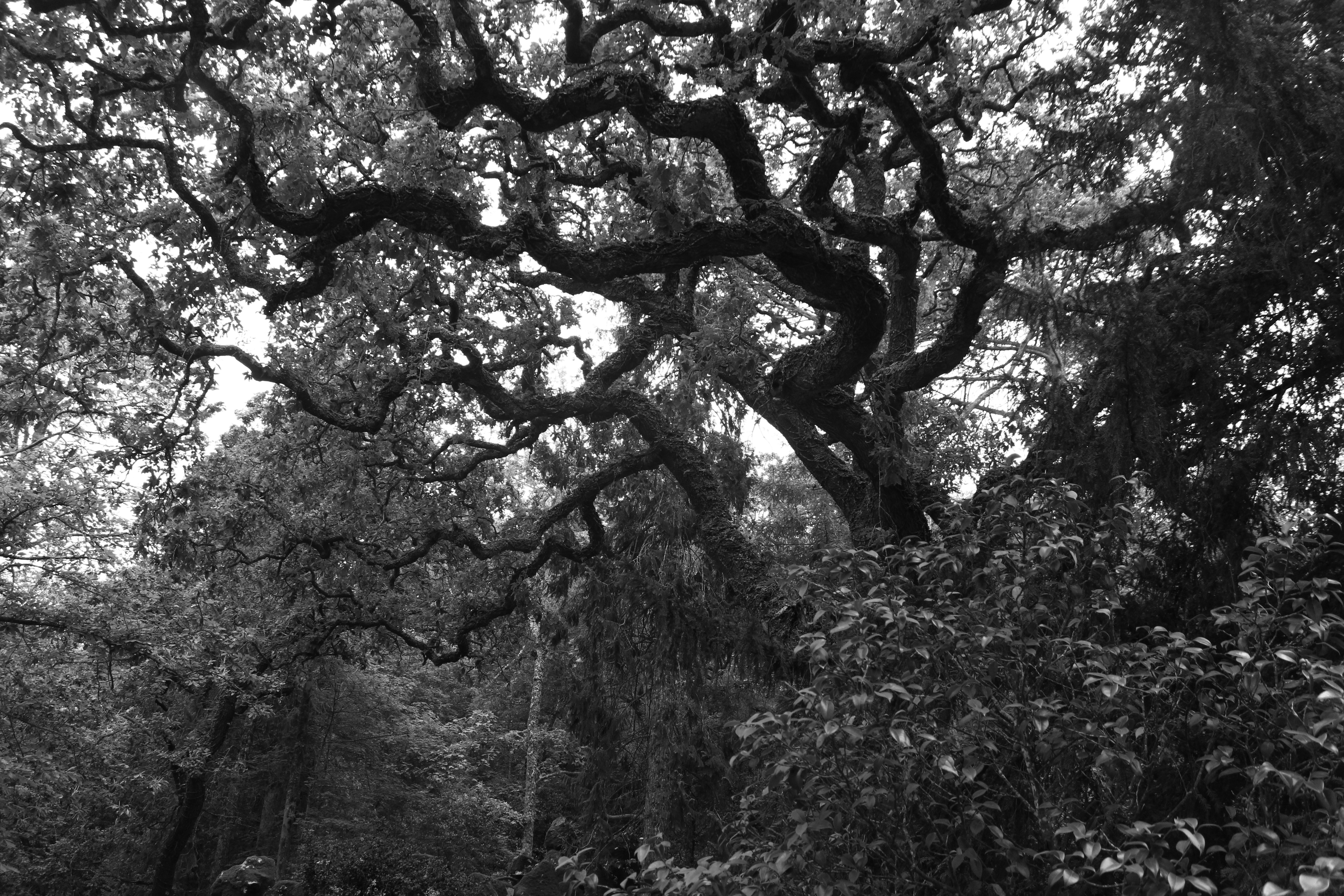 Photo by mariaennnunes