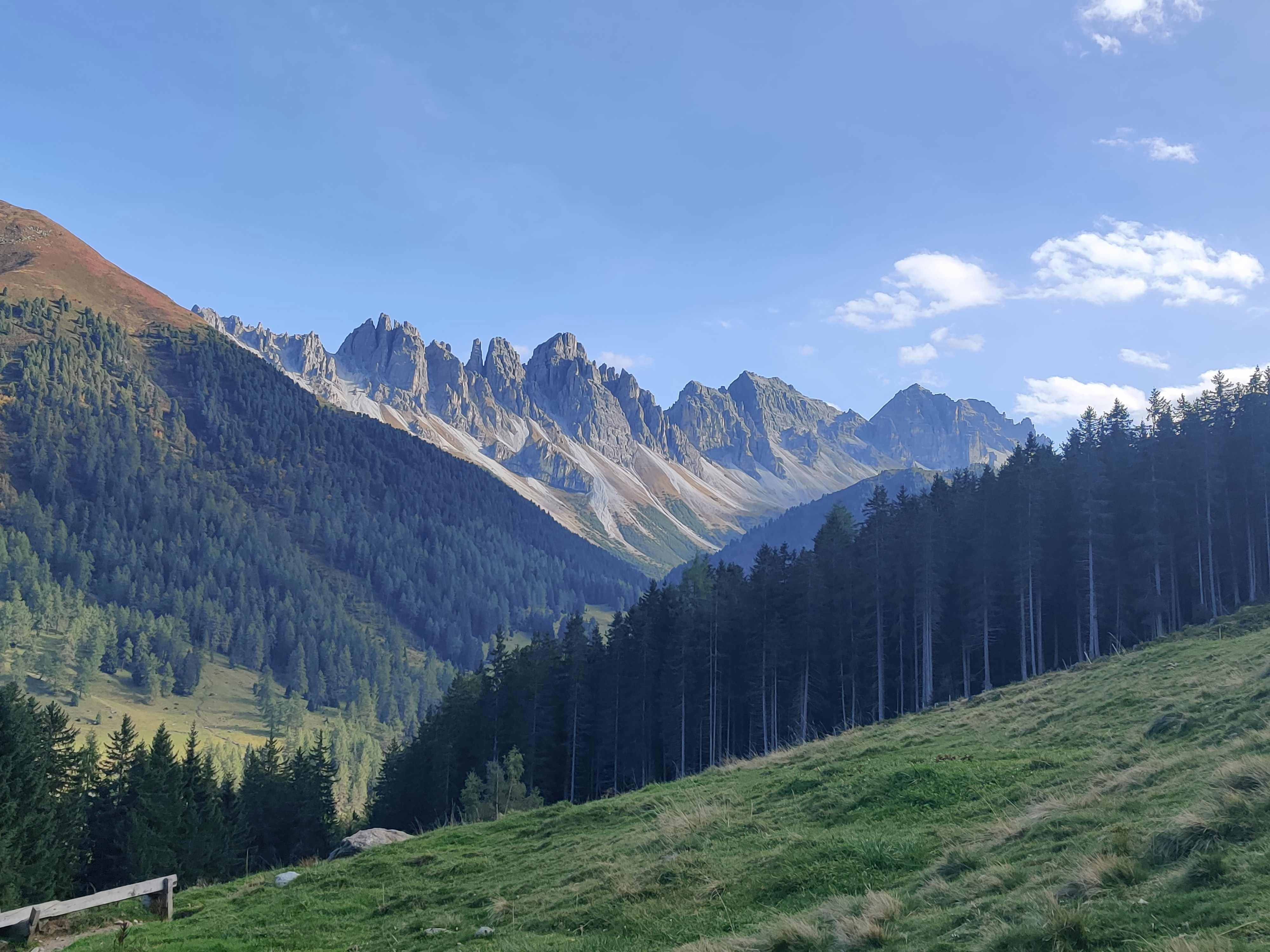 What Walking Does to the Infant Brain