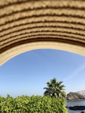Close-up of a stylish aloha hat with vibrant tropical patterns on a sunny beach background.