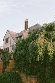 A two-story house with a steeply pitched roof and a prominent chimney. The house exterior features a combination of stone and light-colored stucco with decorative trim. Lush green foliage and trees partially obscure the lower part of the house, and a stone wall with a metal archway is visible in the foreground.