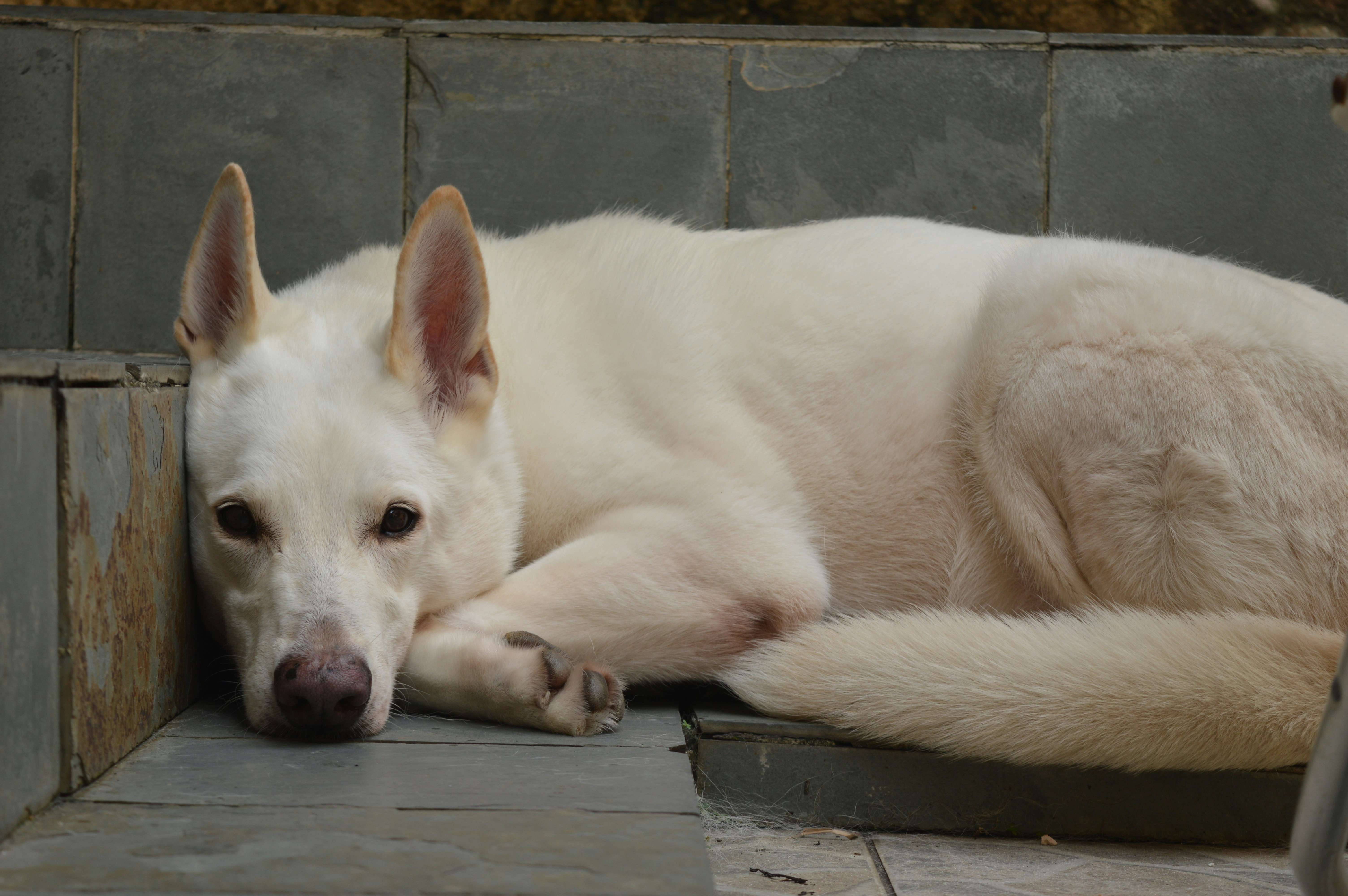 Photo by joiceschuchanof