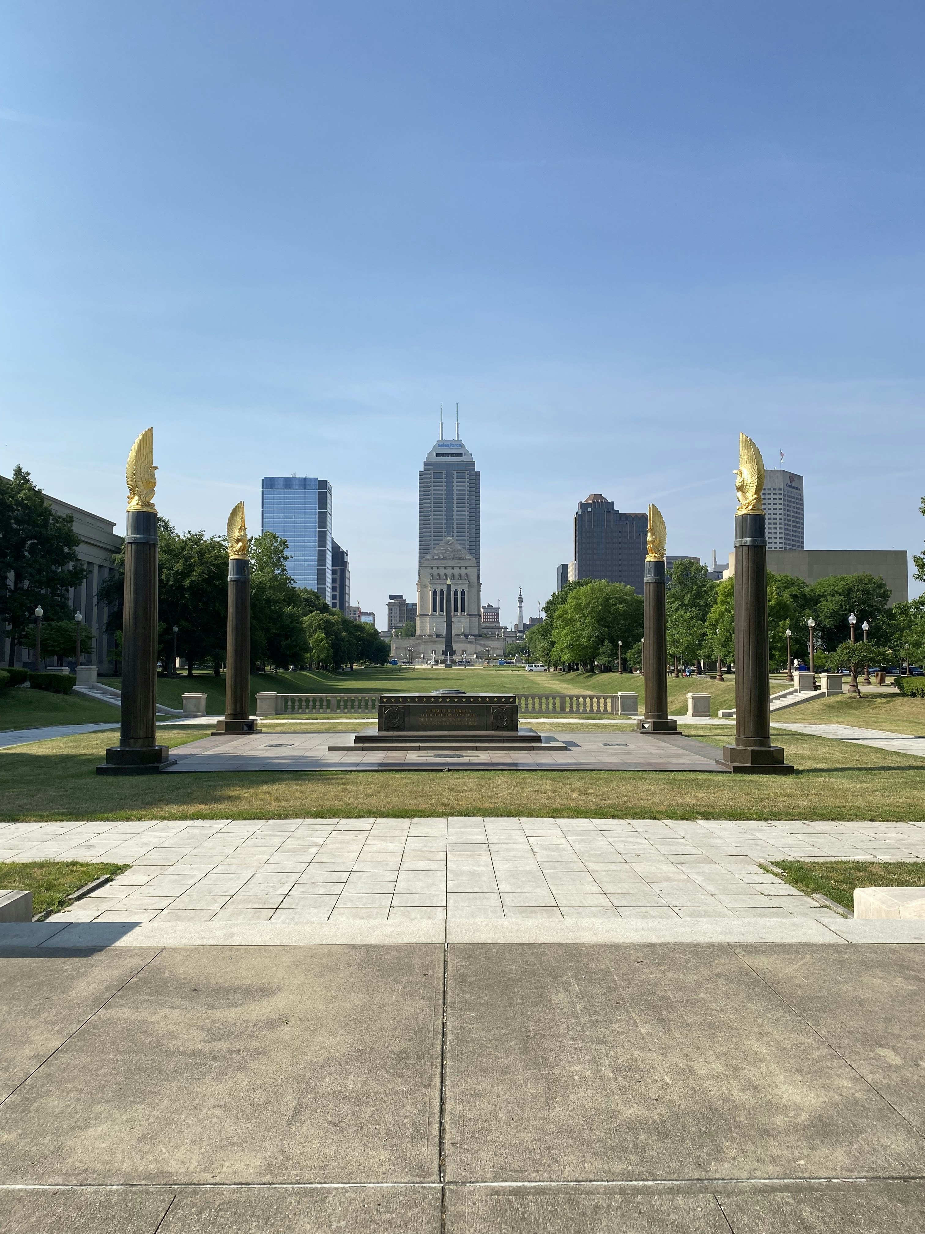 a view of a city from a park