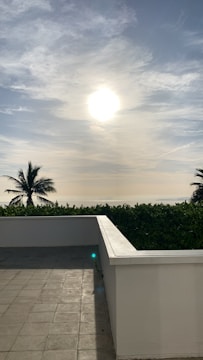 Sunlit view of a tiled roof with palm trees swaying nearby in a Miami neighborhood.