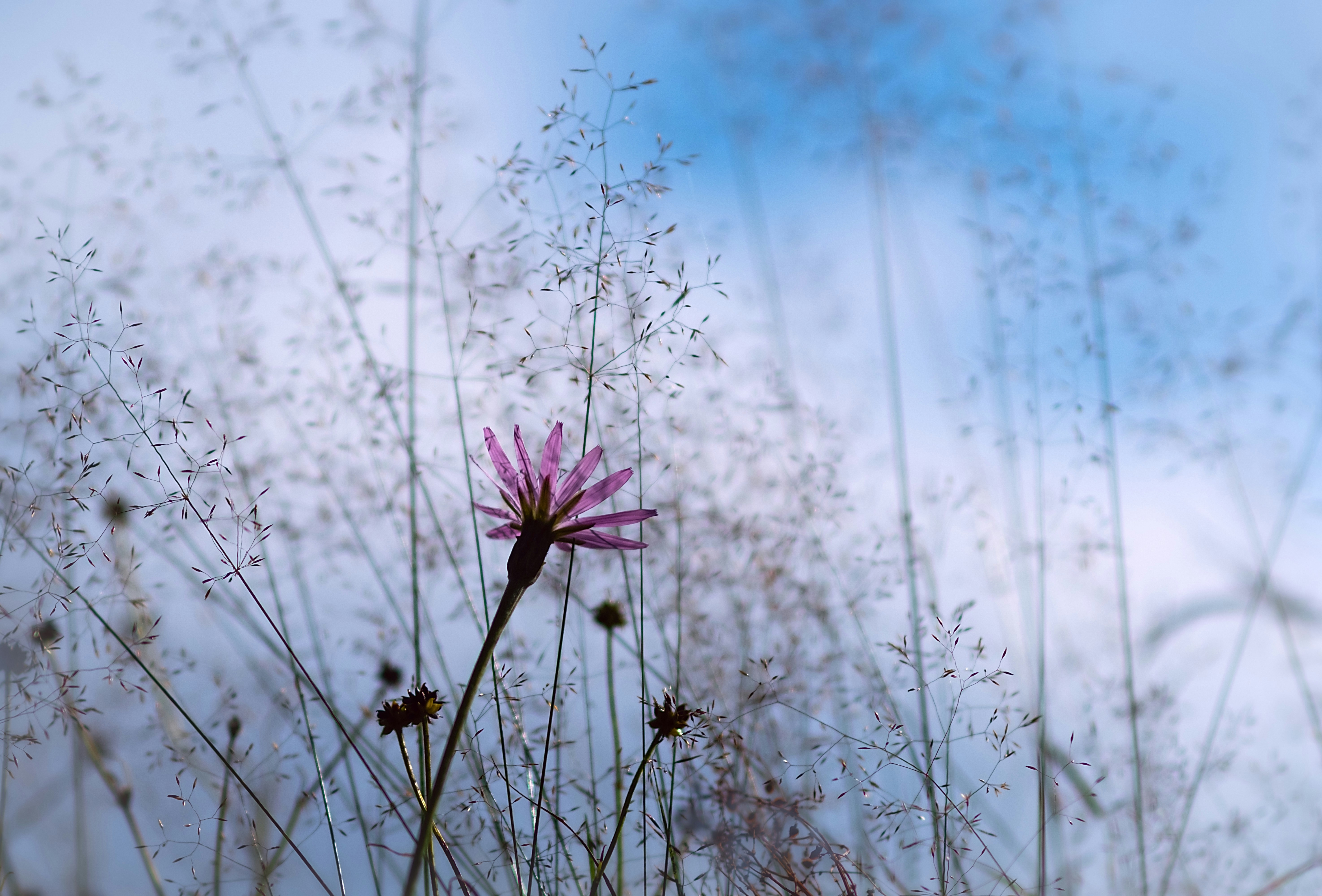 Photo by sevencolors