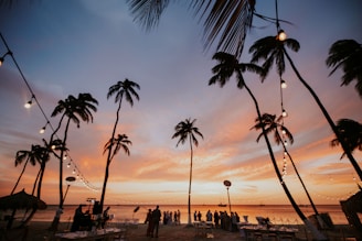A vibrant beach party at sunset with palm trees and colorful lights.