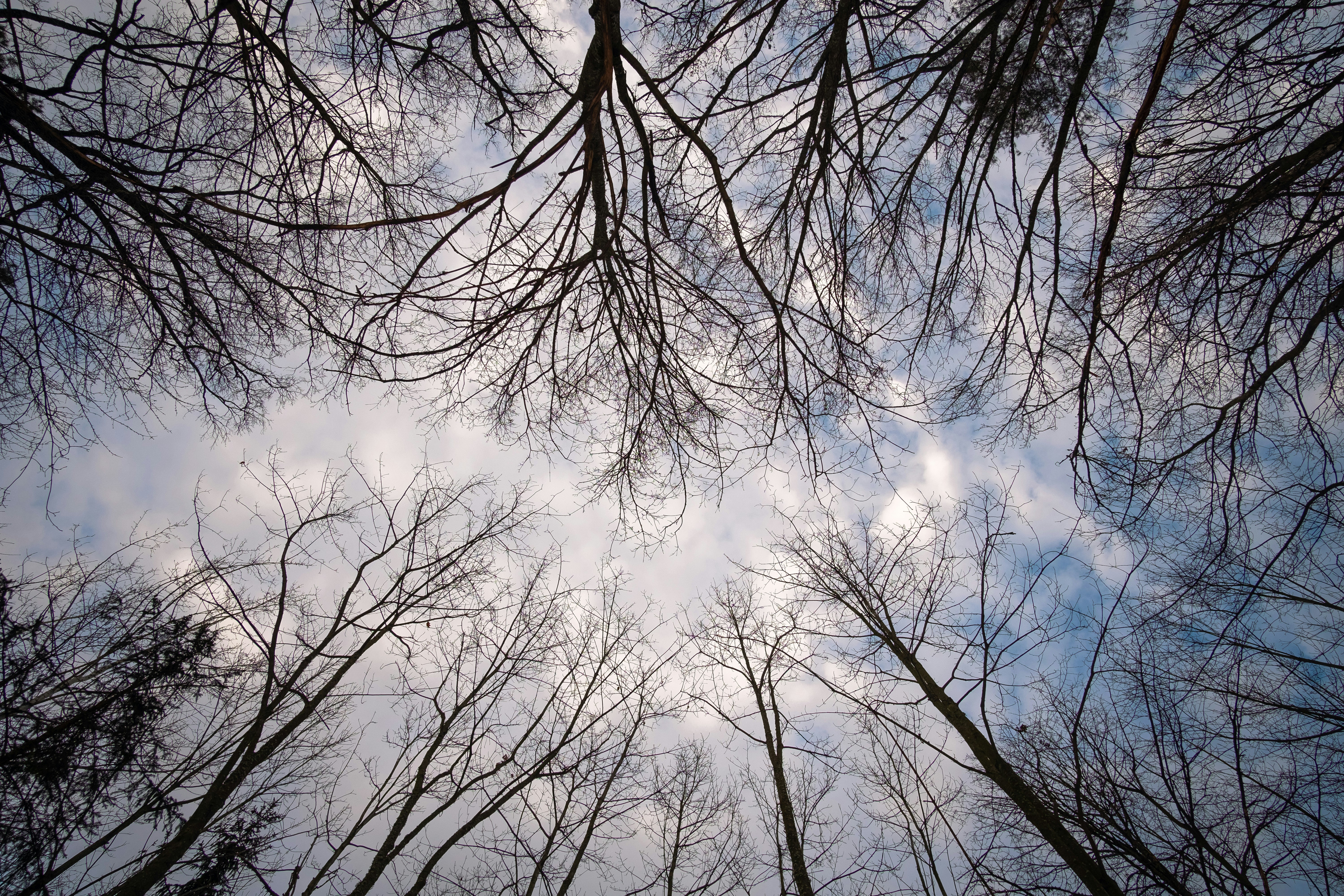 Photo by sevencolors