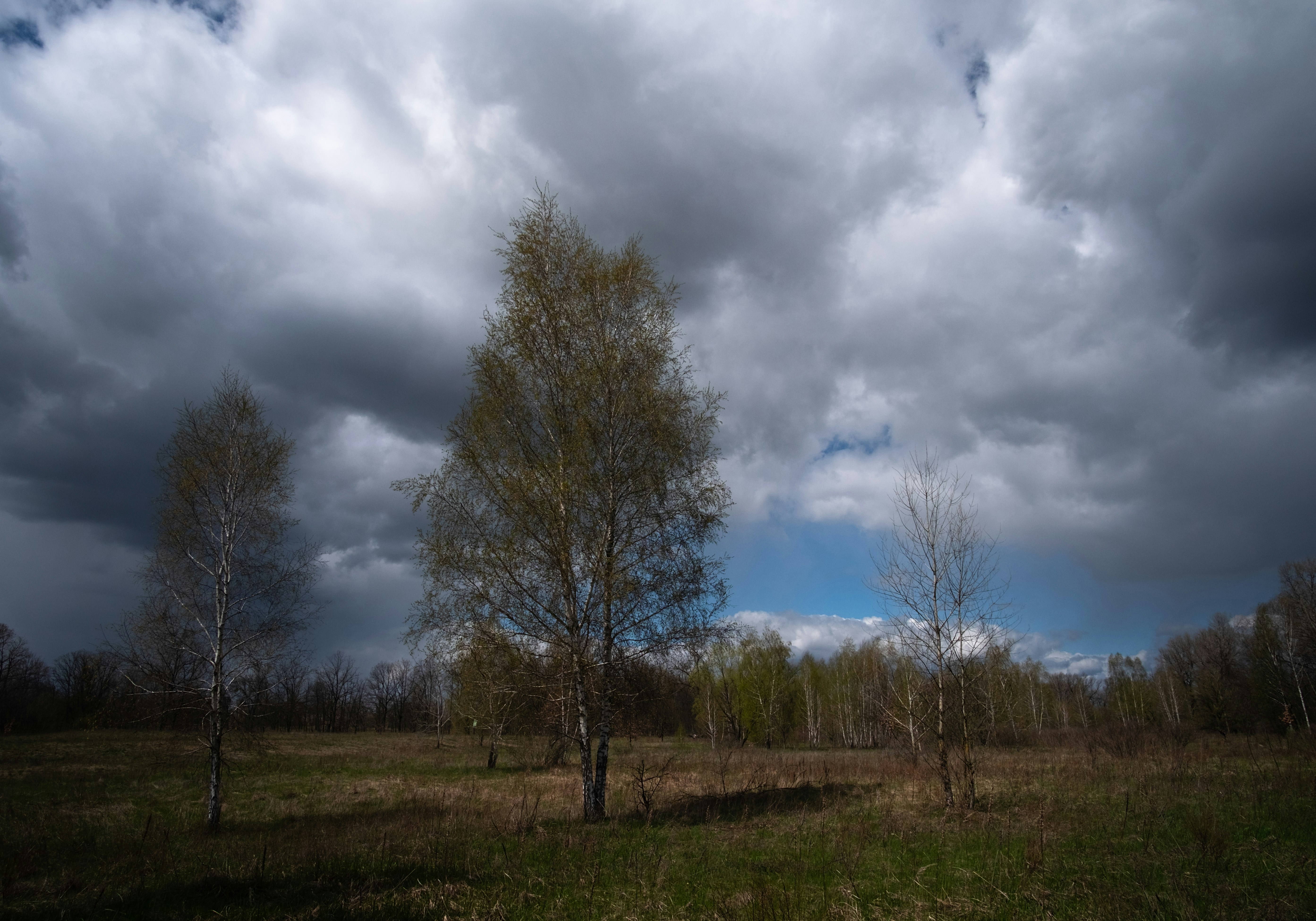 Photo by sevencolors